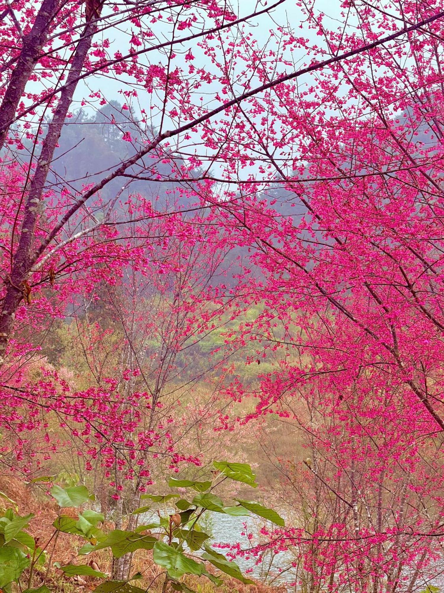 Huy Man Homestay Хазянг Экстерьер фото